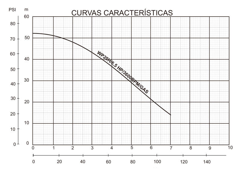 Bombas centrífugas autocebantes serie WP
(Motor gasolina)